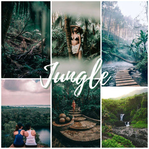 The Jungle Preset Collection